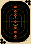 12" Critical Mass Target - 100 Sheets(TRG00220) - HDTARGETS